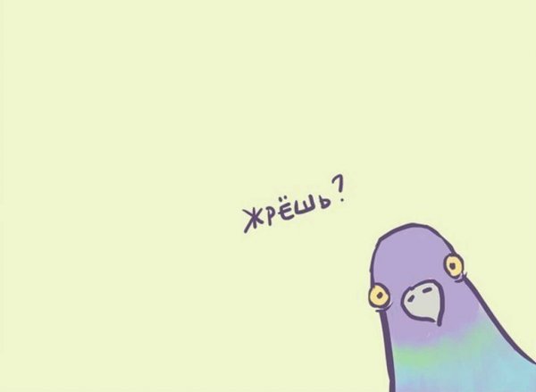 Жрешь картинка