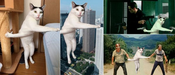 Отфотошопленный кот
