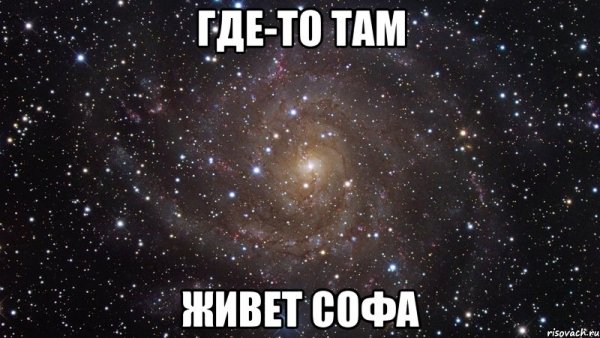 Софа люблю тебя