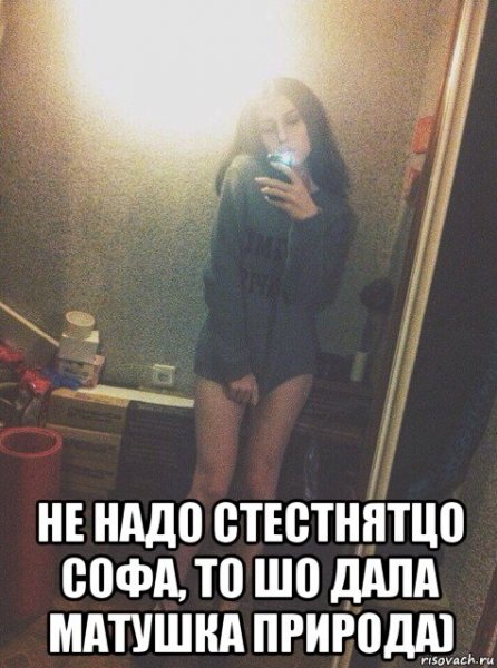 Sofa Мем