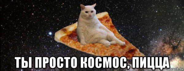 Кот и пицца Мем