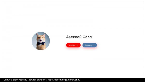 Не зли кота
