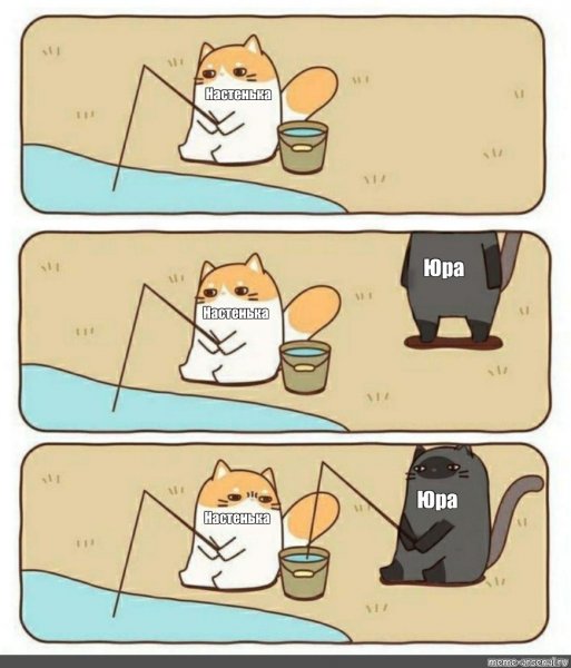 Кошка Алексея Совы