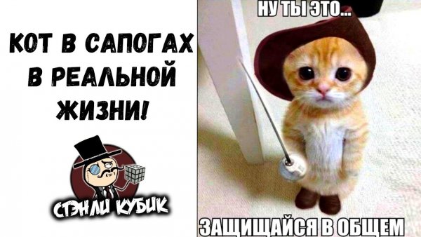 Алексей Сова