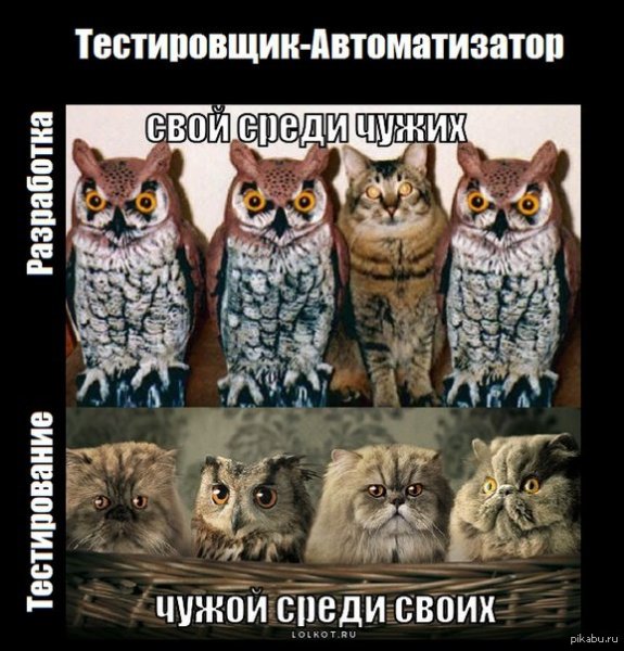 Алексей Сова мемы