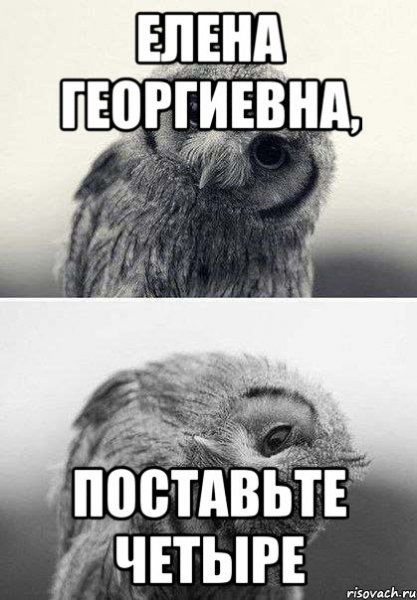 Мемы с котами приемлемо