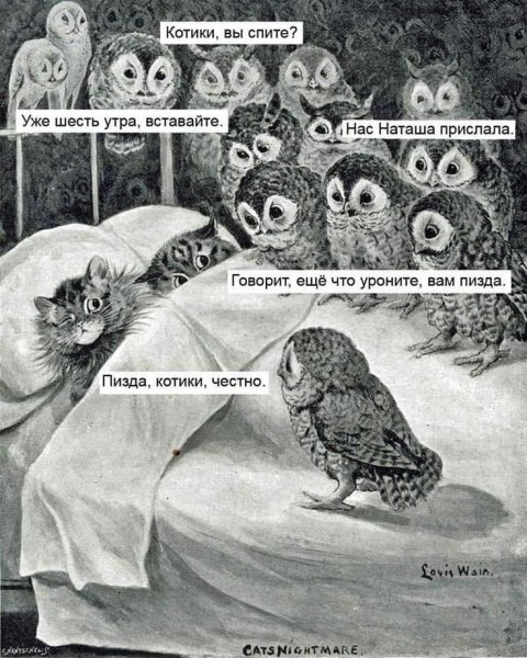 Сова Мем