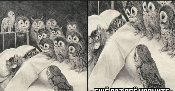 Пепься или кокалека