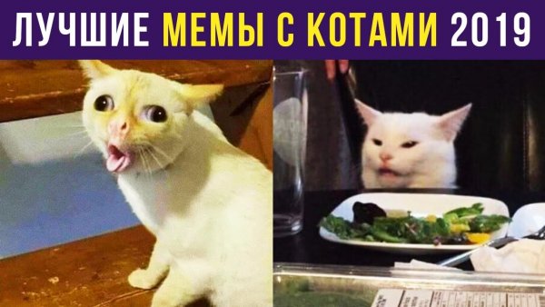 Смешные мемы для поднятия настроения