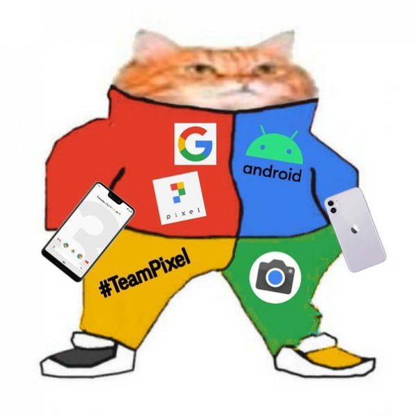 Тыгдык кот