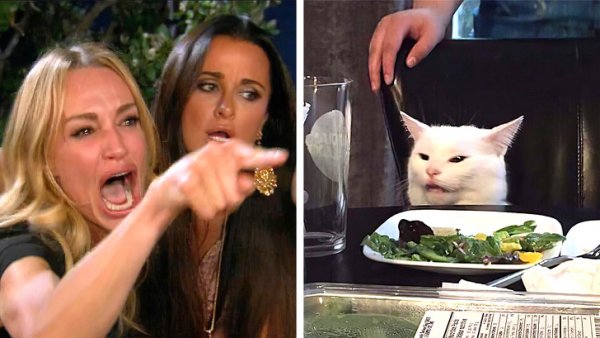 Мемы про кота и двух девушек (49 фото)