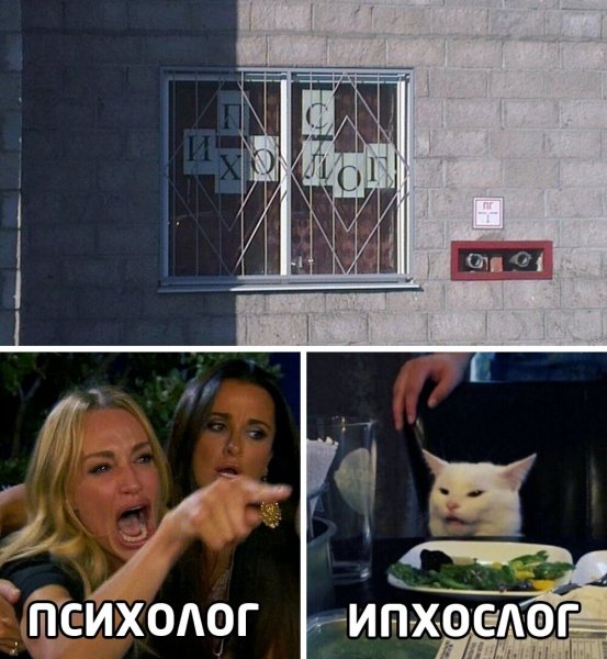 Мем кот и две девушки