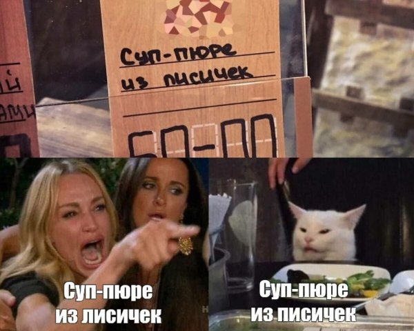 Мемы с котом и девушками