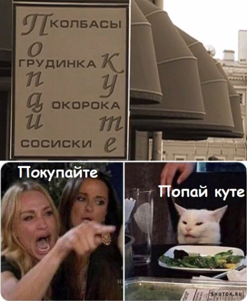 Мемы с котом и девушками