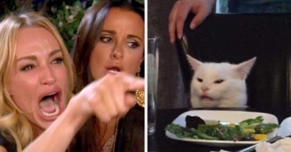Женщина крутчит на кота