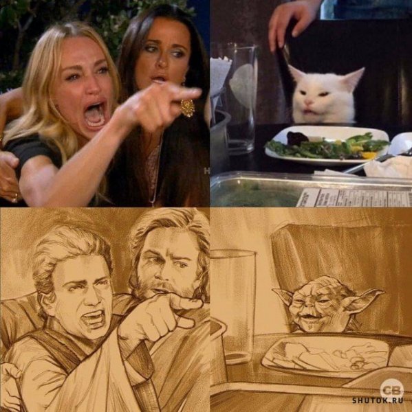 Мем кот и две девушки