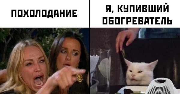 Мем кот и две девушки