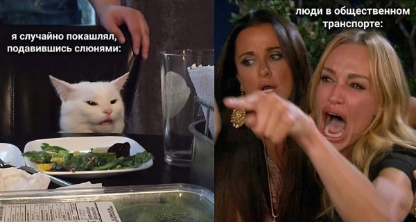 Мем с котом и девушками