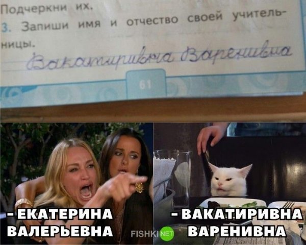 Мем кот и две девушки