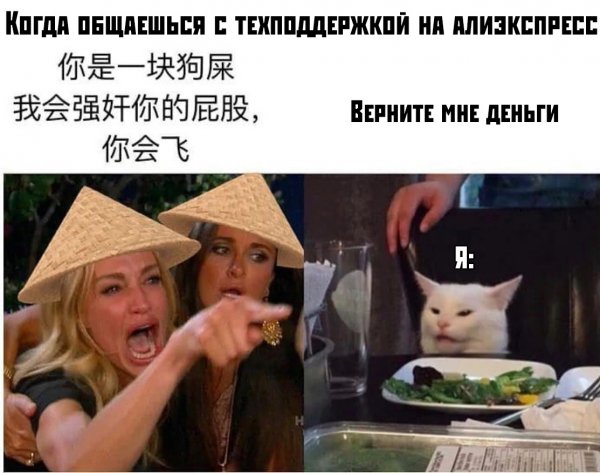 Мемы с котом за столом