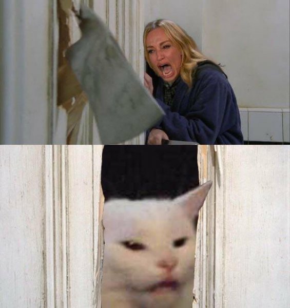 Женщина орет на кота