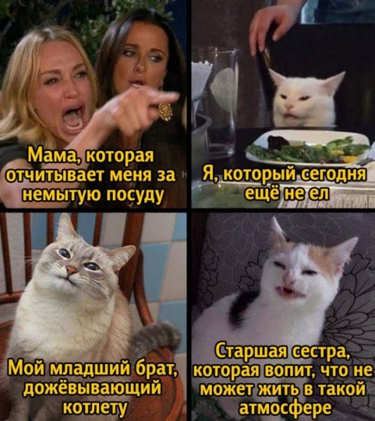 Мем с котом и двумя женщинами