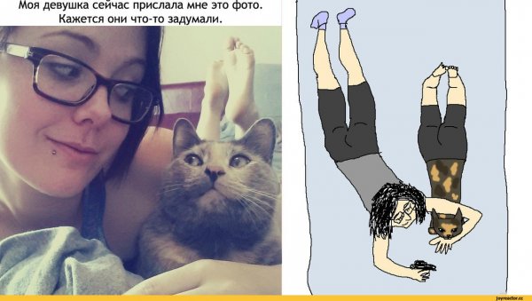 Мемы с котом и девушками