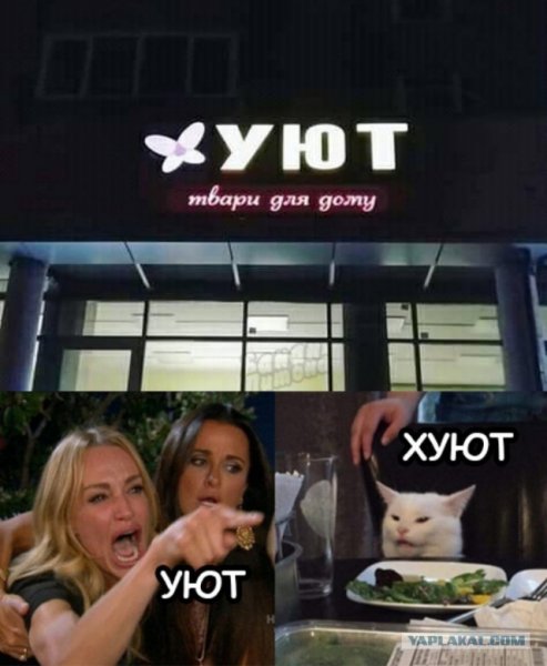 Мемы с котом и вывесками