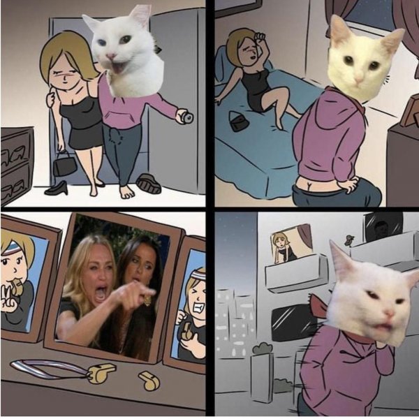 Мемы с котом и девушками