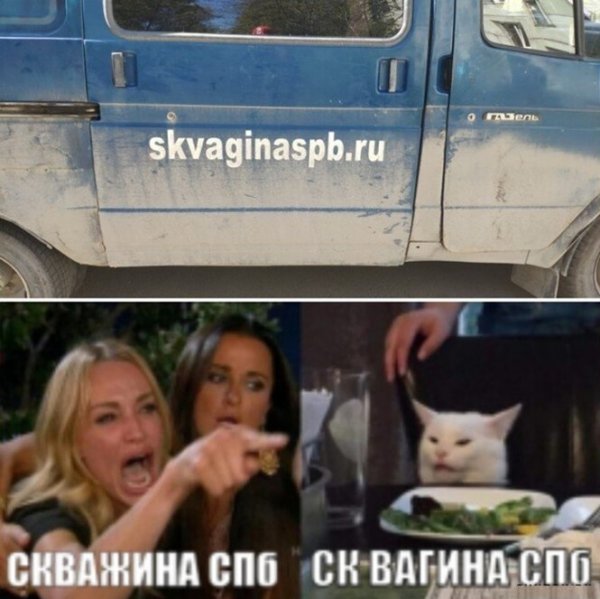 Мемы с котом и девушками