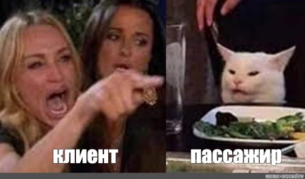 Мем с котом и двумя женщинами