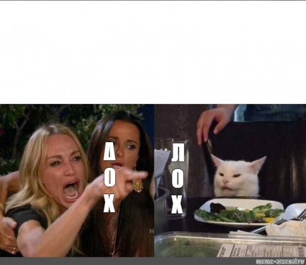 Мем с котом и девушками
