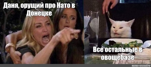 Девушка кричит на кота Мем