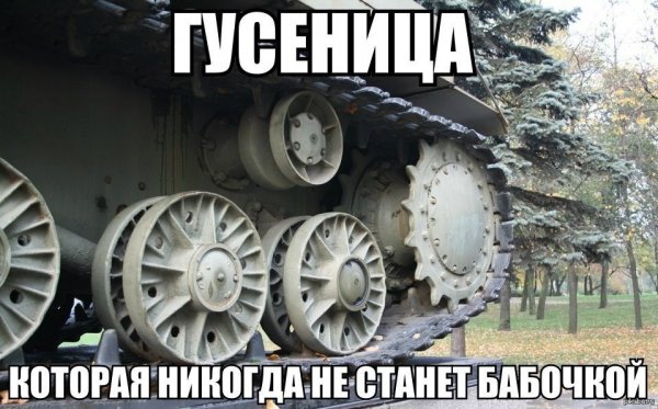 Гусеница прикол