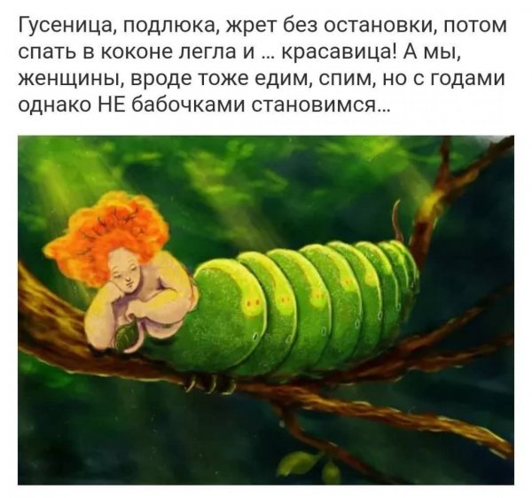 Гусеница юмор
