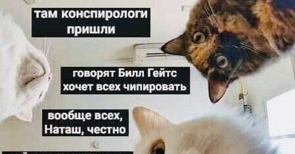 Теория заговора юмор