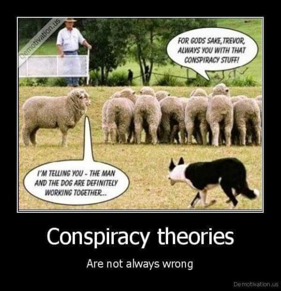 Conspiracy Theory Мем