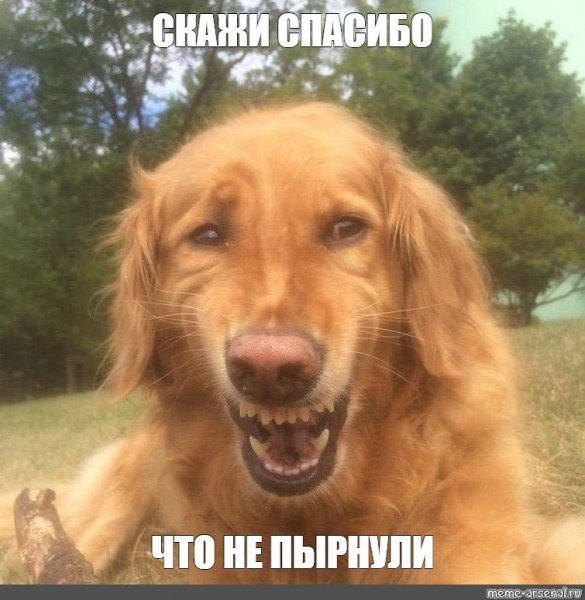 Не смешной а забавный