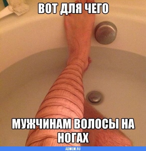 Смешные картинки про член