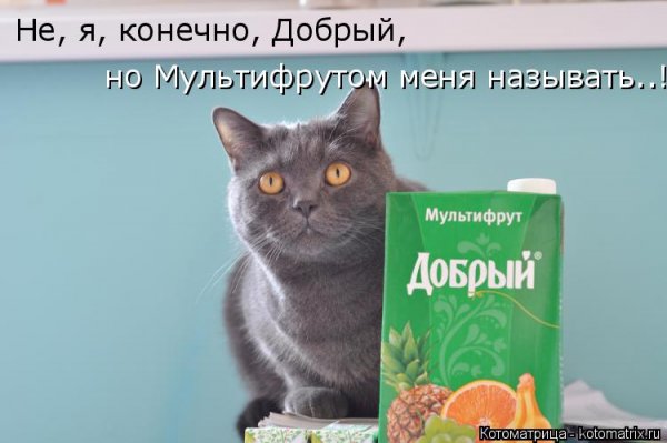 Я конечно добрый но могу