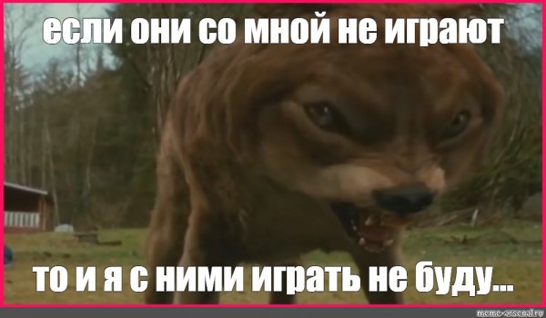 Волк из сумерек Мем