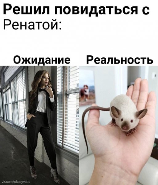 Саша тупой