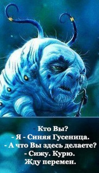 Синяя гусеница Абсолем