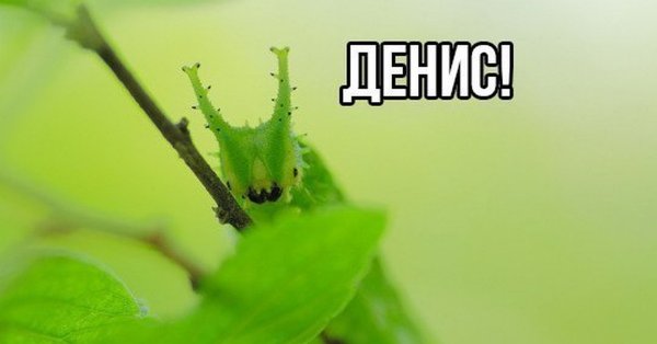 Гусеница с сигаретой