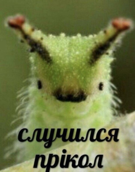 Гусеница из Алисы цитаты
