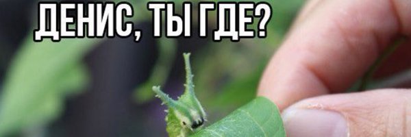 Гигантская гусеница