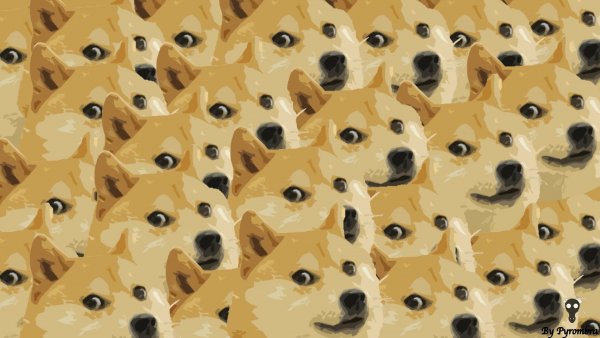Собака Мем