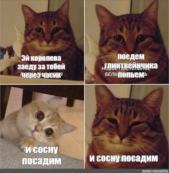 Котик Мем и фужерчики