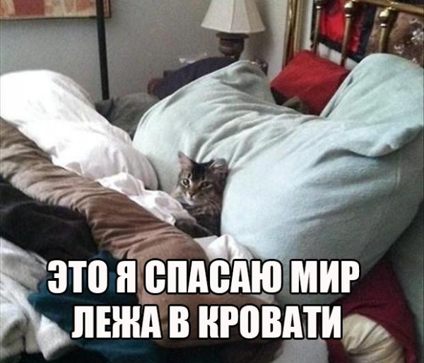 А ты точно продюсер