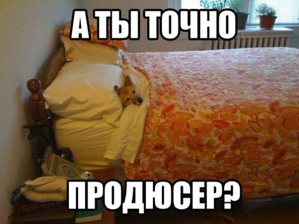 А вы точно продюсер Мем оригинал